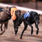 Razldazl Geogre 10/9/2011