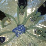 Swimming Aquatic Centre