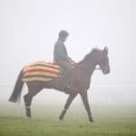 Rosie Connors with Sizing Europe 12/3/2012