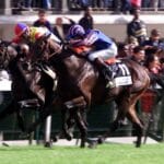 Mick Kinane and Montjeu 3/10/1999