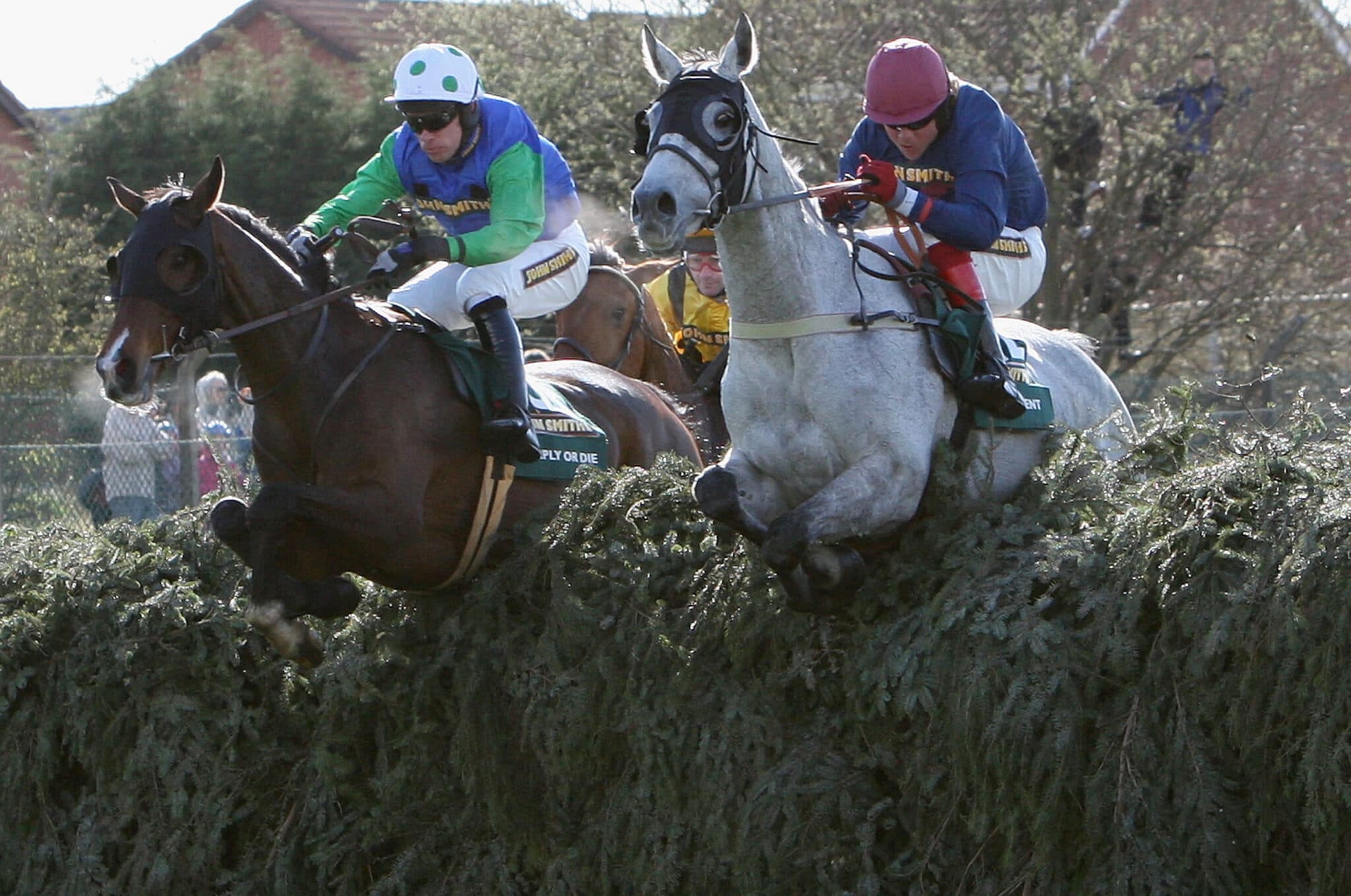 UCD Scientist's Racing Breakthrough - Sport for Business