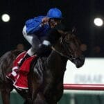 The Dubai World Cup