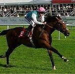 Frankel Horse Racing