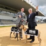 Greyhound IGB ISME