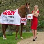 Irish St Leger Gain Feeds