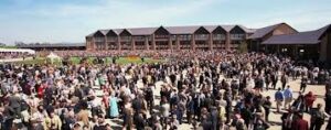 Punchestown 2013