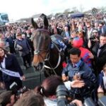 Sprinter Sacre Punchestown 2013