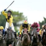 Galway Races August 2013