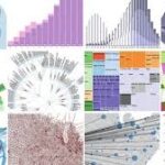 Data Visualisation analytics