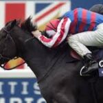 Johnny Murtagh Ascot 2013