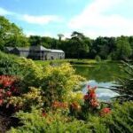 Fota Island 2