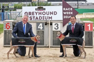 Bulmers Greyhounds