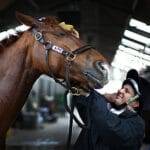Dressage