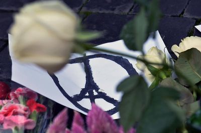 B-Town-shows-support-for-Paris