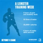 leinsterstats