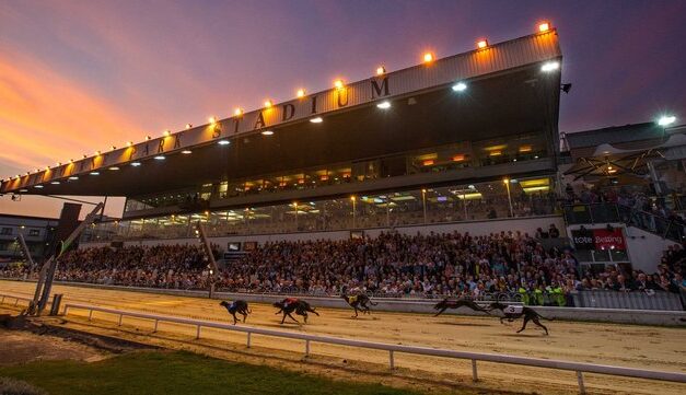 Greyhound Derby TV Coverage to Double