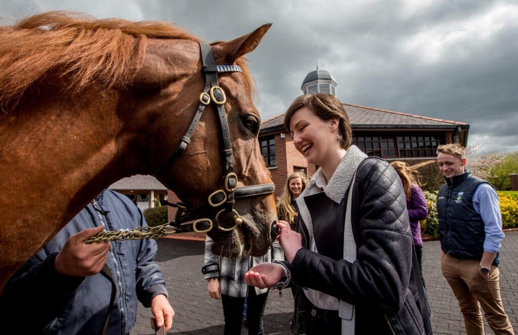 Aoife Costello from DCU meets Night of Thunder 4/5/2016