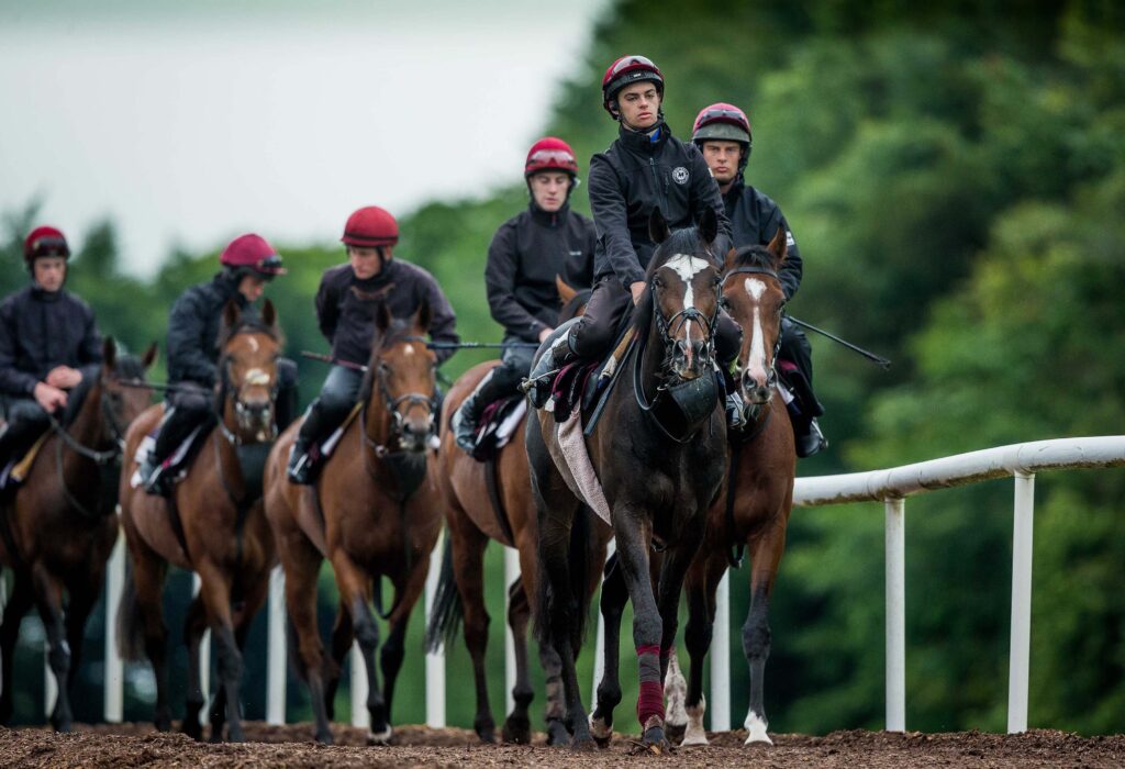 Donnacha O'Brien on US Army Ranger and Ben Dalton on Idaho 20/6/2016