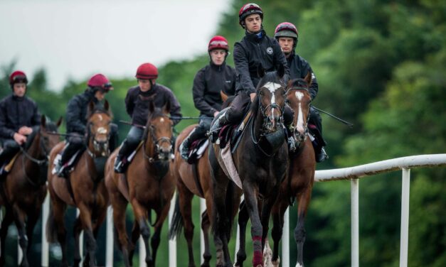 Curragh Plaudits