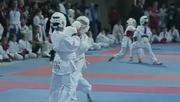 World Karate In Dublin