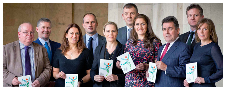 DCC Sport and Wellbeing Board