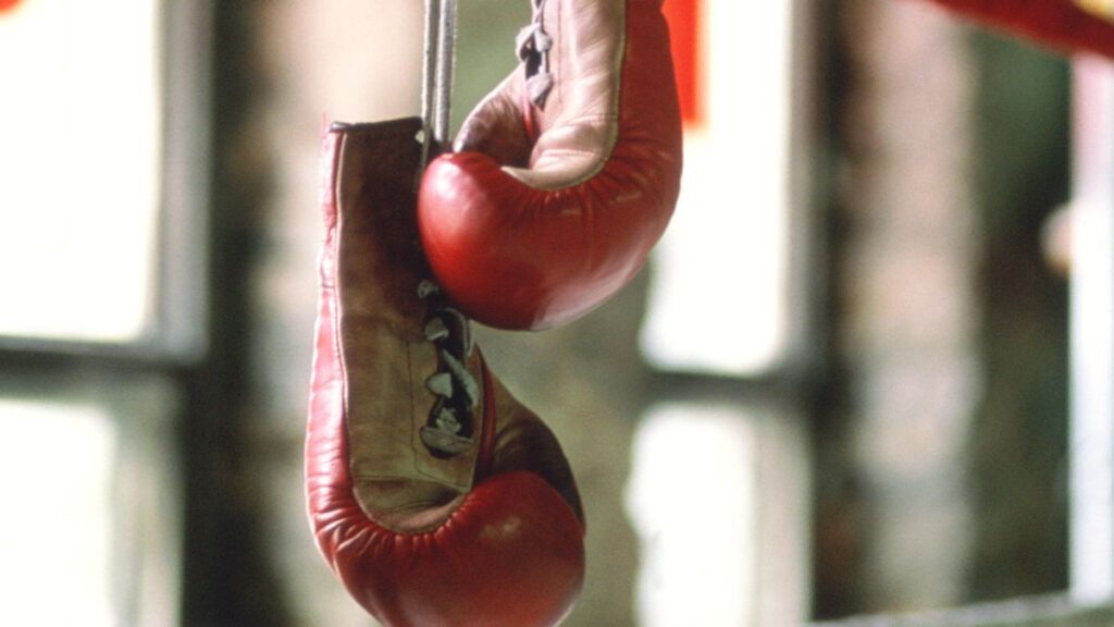 Boxing Gloves on the ropes