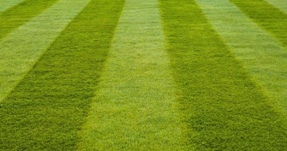 capital-sports-grants-grass-pitch