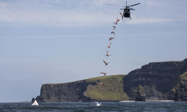 Diving Off A Cliff