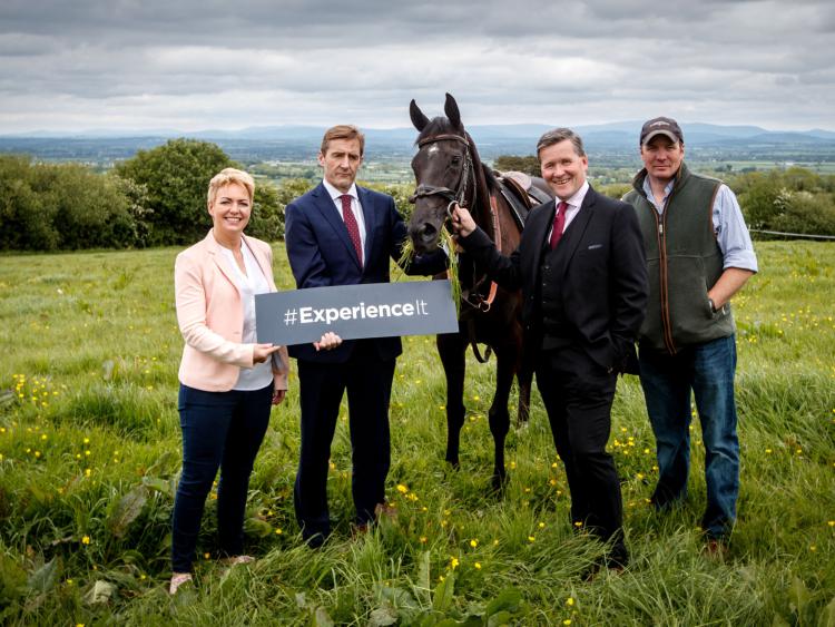 Sample It, Savour It