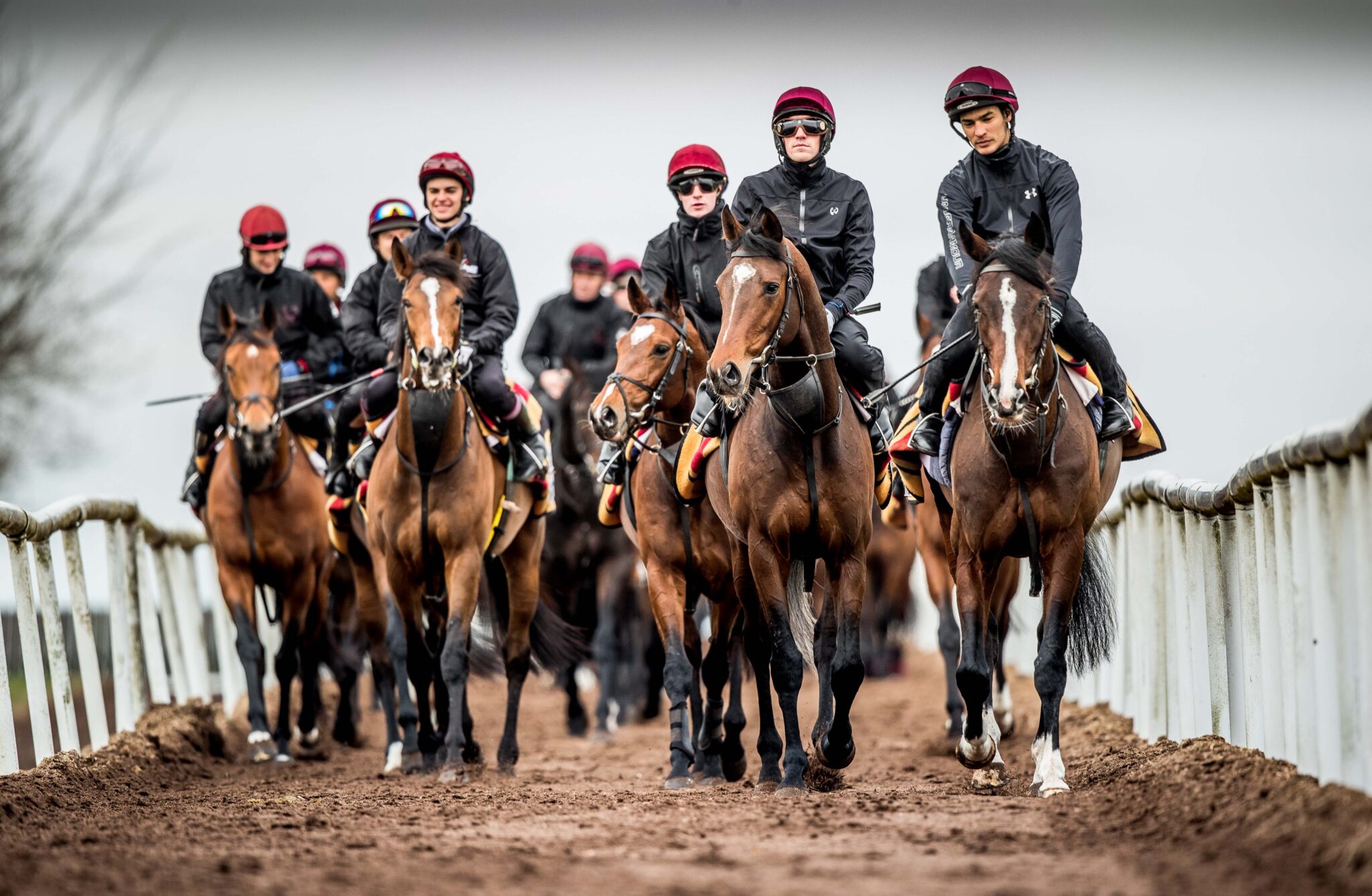 New Mandatory Training for Entering the Horse Racing Sector – Sport for Business