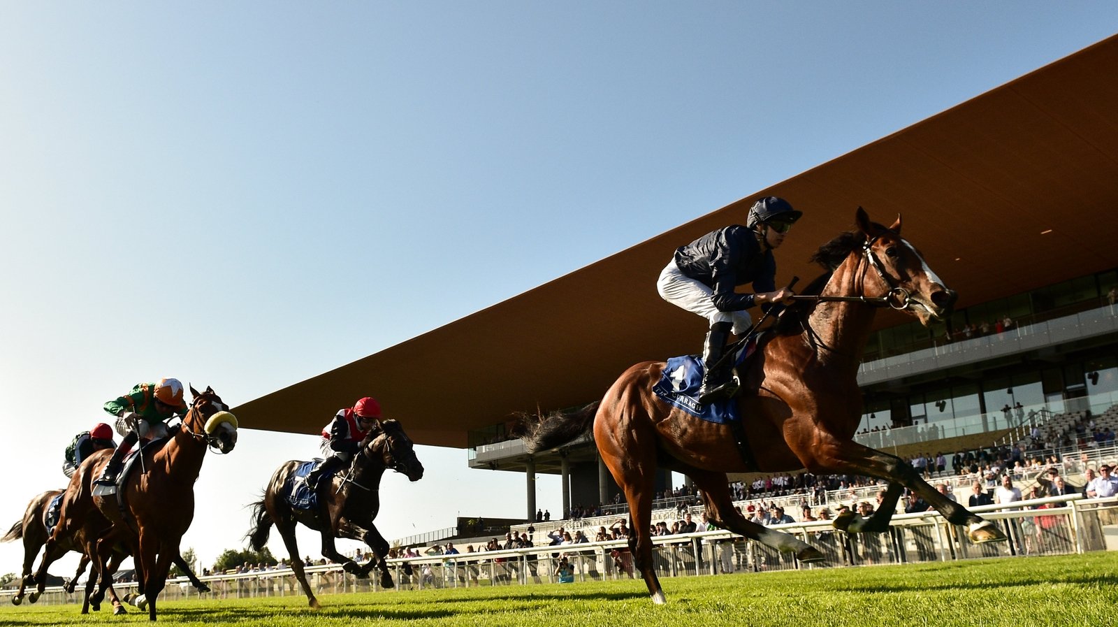 Rte Racing Expansion for RTÉ Coverage of Horse Racing - Sport for Business