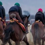 Government Approves Second All-Weather Track at Tipperary Racecourse