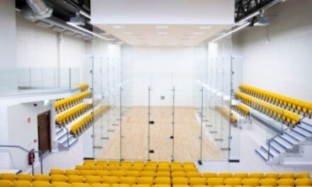 Handball Championships Fall to Covid