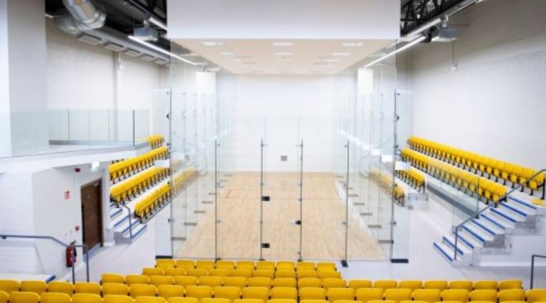 Handball Championships Fall to Covid