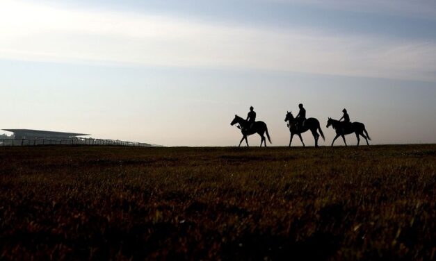 Curragh Fly By to Recognise Frontline Workers