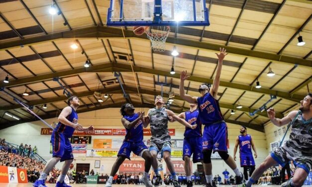 Basketball Celebrates Green Light for New Season