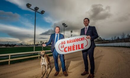 Greyhound Racing Comes Together for Alone
