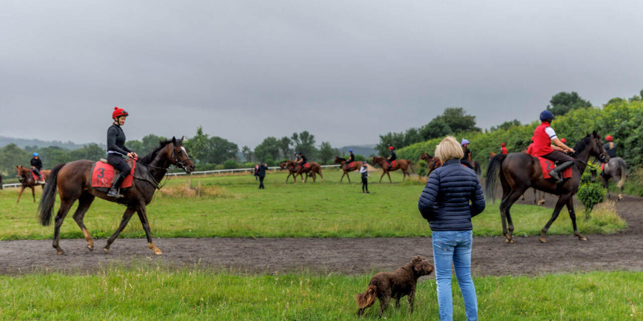 O’Brien for History, Harrington for the Heart in Sundays Dubai Duty Free Irish Derby