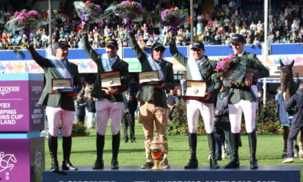 The RDS Dublin Horse Show in Numbers