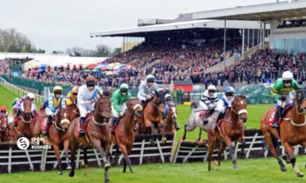 Punchestown Price Reduction for expected 100,000 Attendance