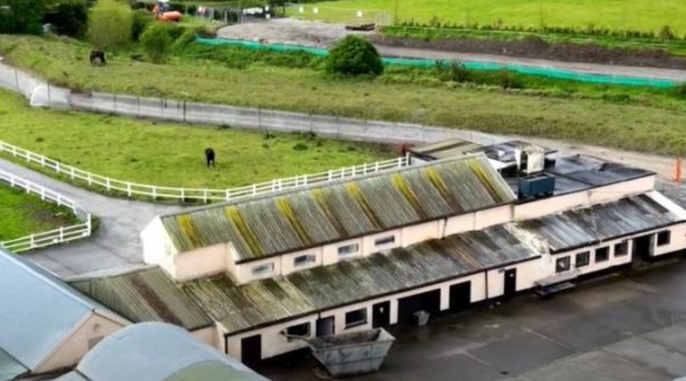 Racing Forced on Defensive After Shock Doc Allegations of Horse Cruelty
