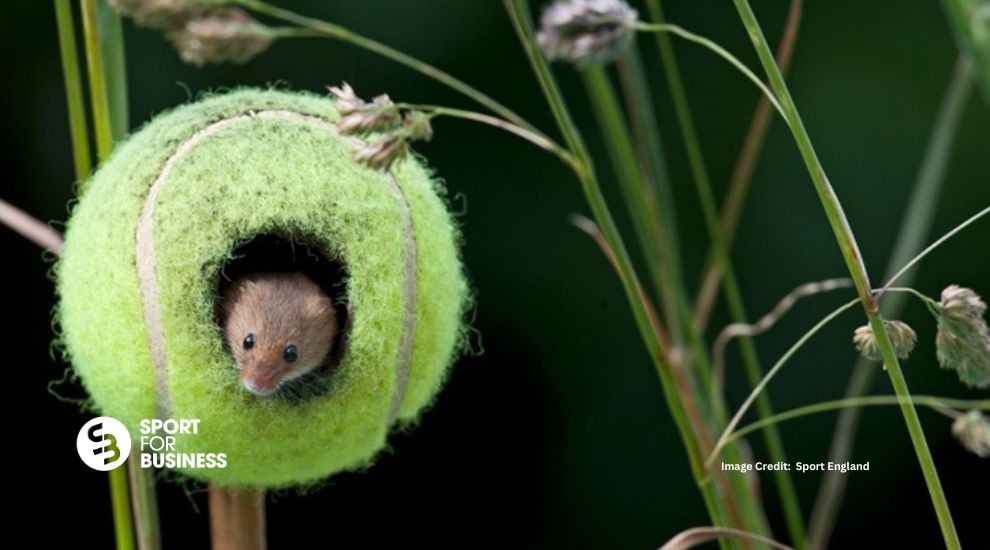 Sustainability Hub – Learning from Sport England’s Going for Green Pledge