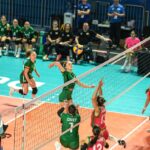 Volleyball Ireland Seeking Part-Time Chief Executive Officer