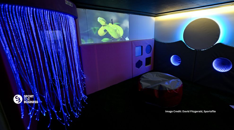 Croke Park Adds Inclusion Services to Game Day Options