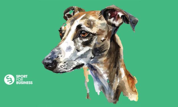 Welfare, Sustainability and Stadia to Fore in Greyhound Racing Strategic Plan