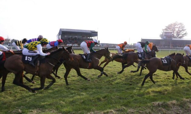 Thurles Racecourse Reprieve for National Hunt Season