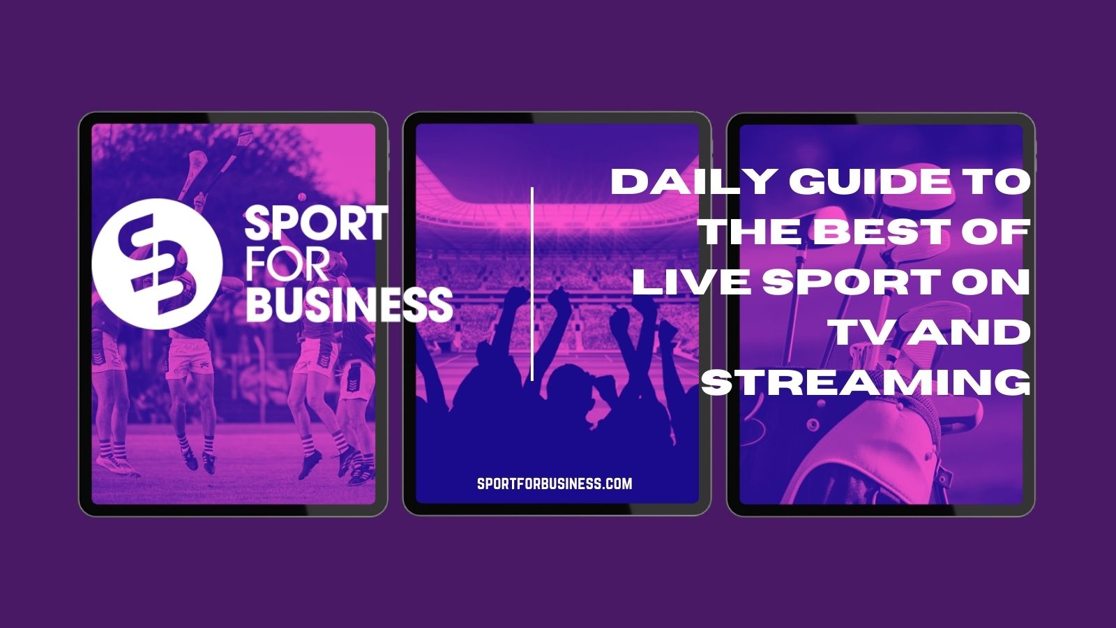 Sport for Business Insight