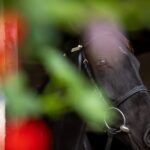 Flat Funding Leaves Racing Holding Its Pace in Budget 2026