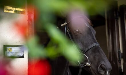 Flat Funding Leaves Racing Holding Its Pace in Budget 2026