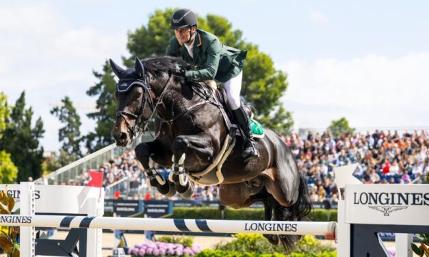Irish Show Jumpers So Close to Glory
